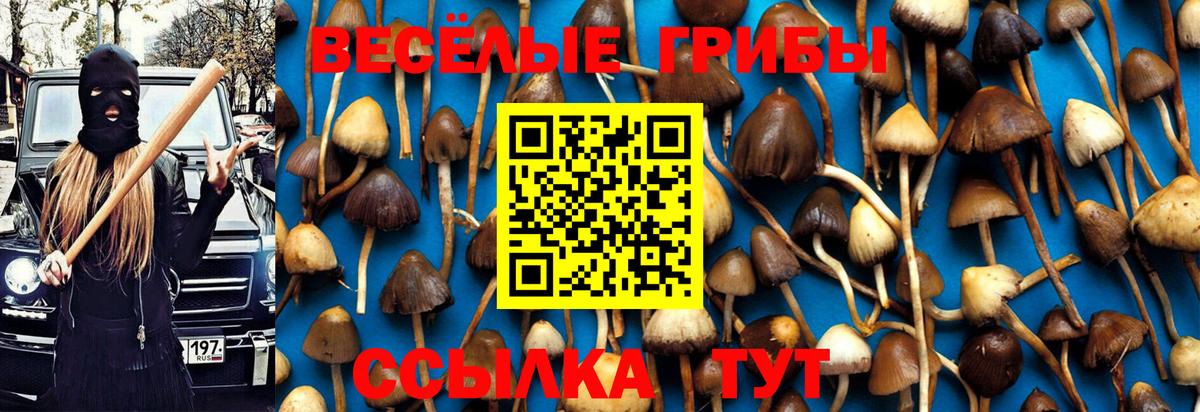 Галлюциногенные грибы Magic Shrooms  Галлюциногенные грибы Psilocybine cubensis  Вход с VPN  Мценск 